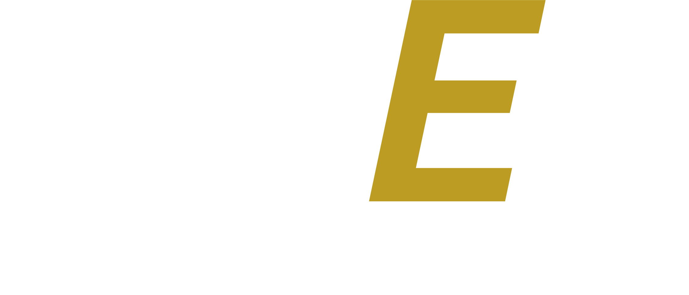 RAEL by Ruach Solutions